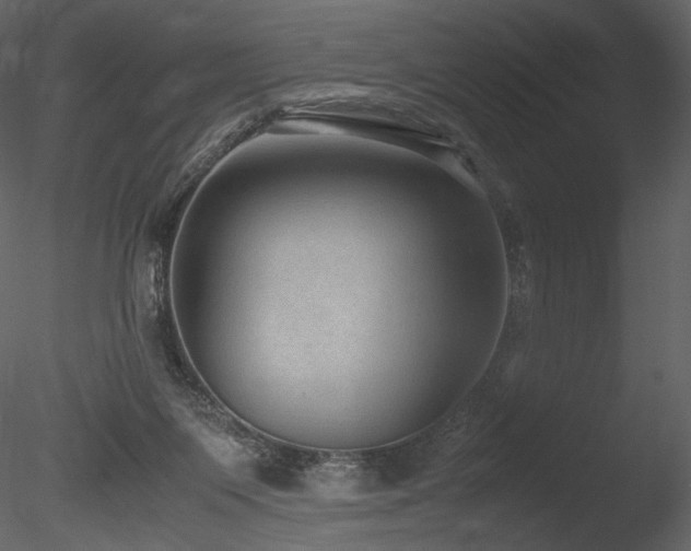 X0000085810119200703161206