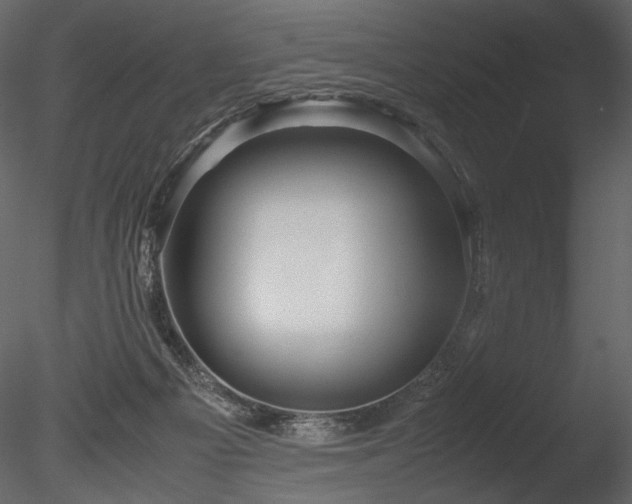 X0000085810121200703161206