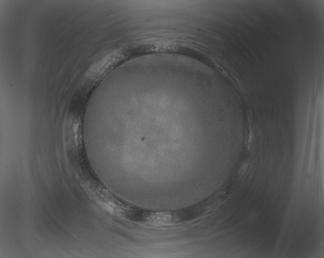 X0000085810123200703161206