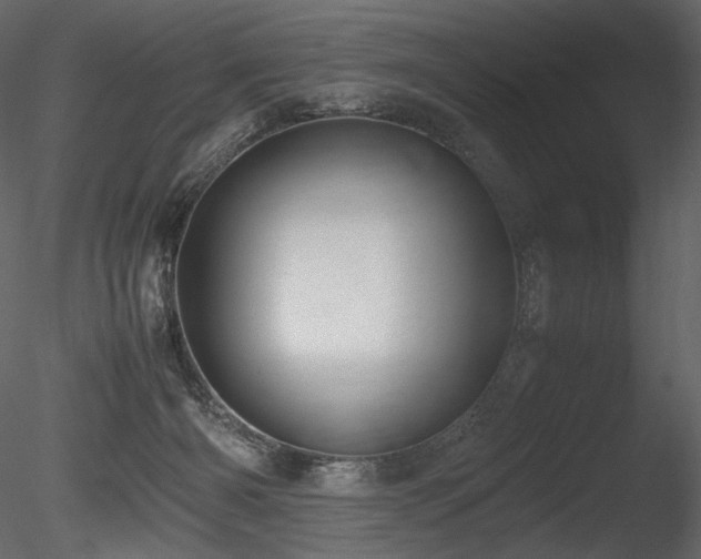 X0000085810126200703161206