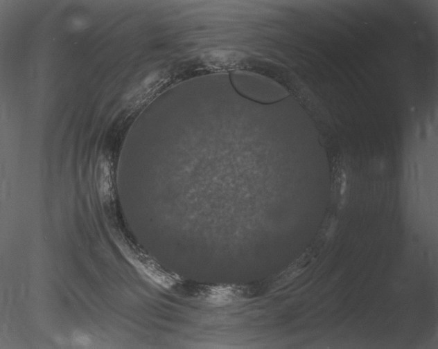 X0000085810130200703161206