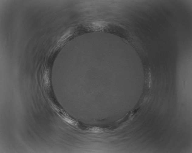 X0000085810131200703161206