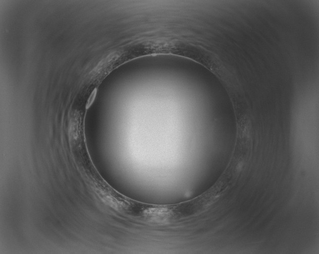 X0000085810133200703161206