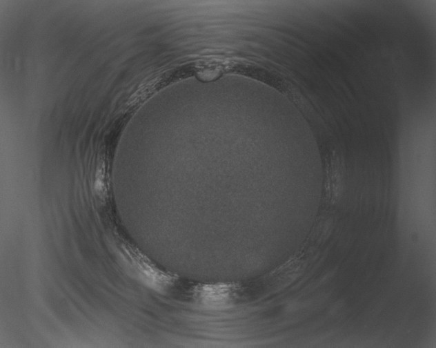 X0000085810134200703161206