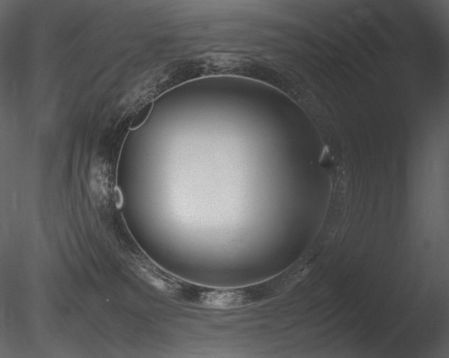 X0000085810135200703161206