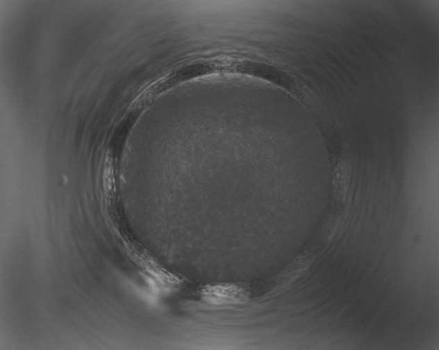 X0000085810137200703161206