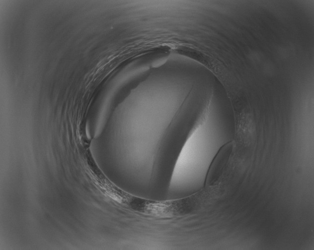 X0000085810139200703161206