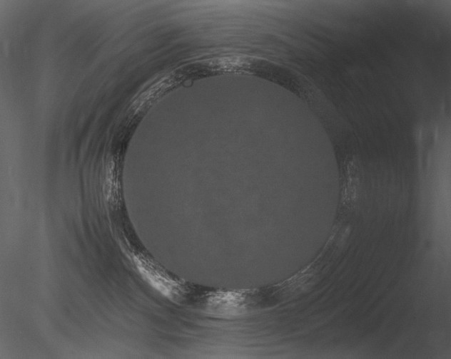 X0000085810140200703161206