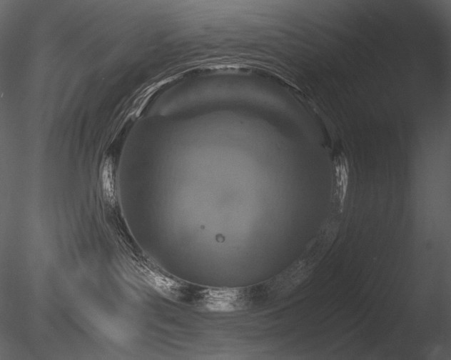 X0000085810143200703161206