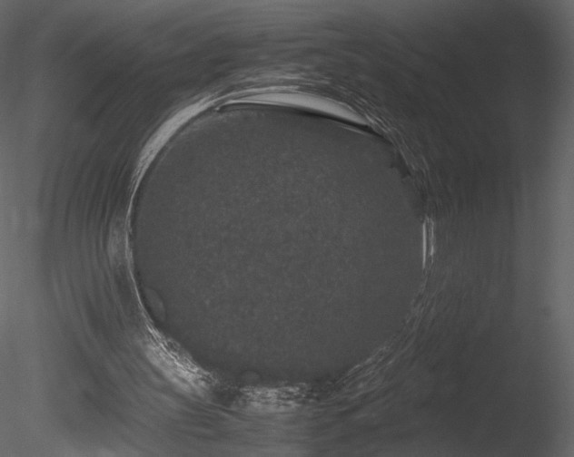 X0000085810147200703161205