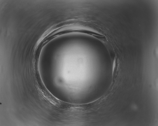 X0000085810150200703161205