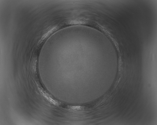 X0000085810153200703161205