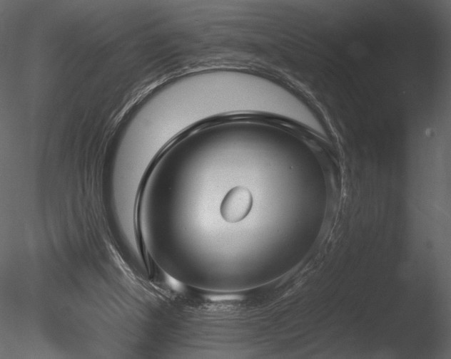 X0000085810154200703161205