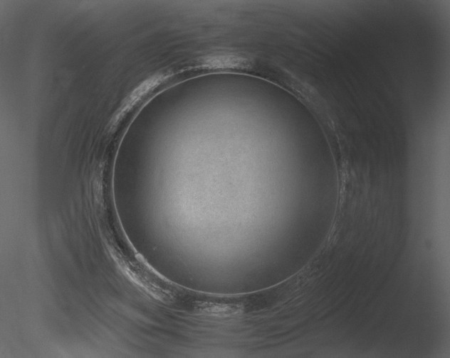 X0000085810155200703161205