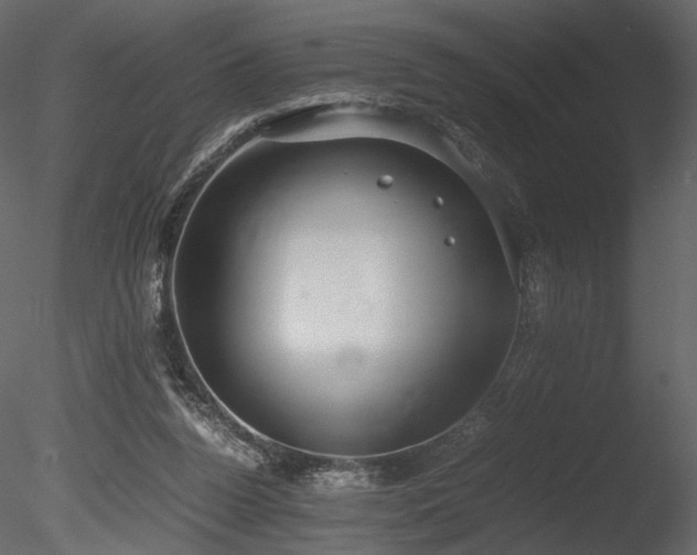 X0000085810160200703161205