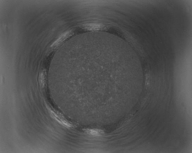 X0000085810165200703161205