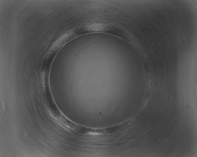 X0000085810167200703161205