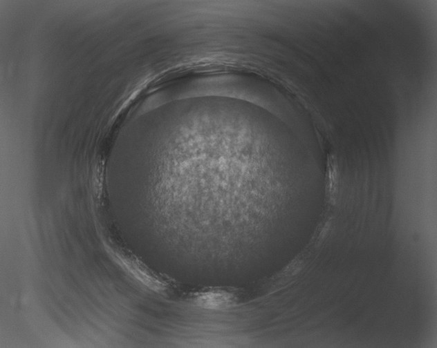 X0000085810168200703161205