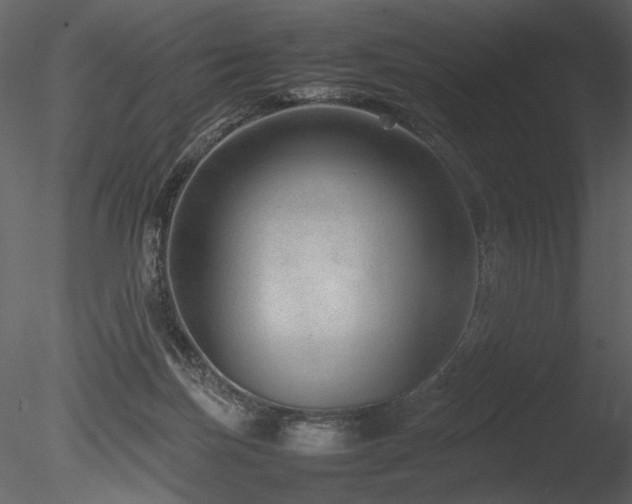 X0000085810171200703161205