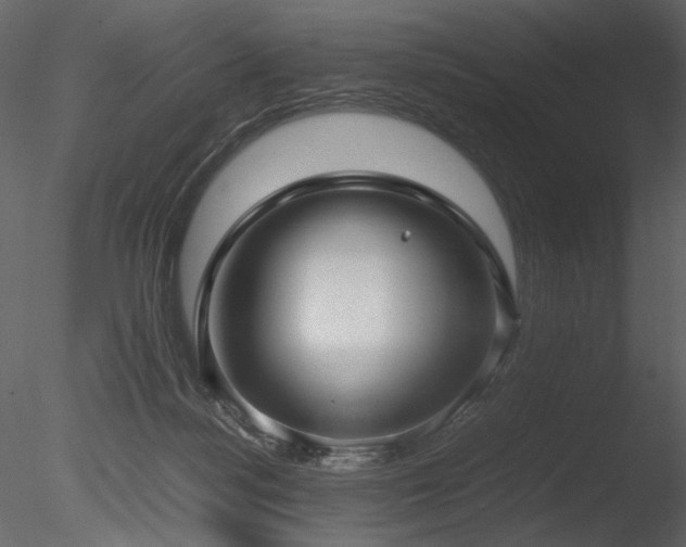 X0000085810172200703161205