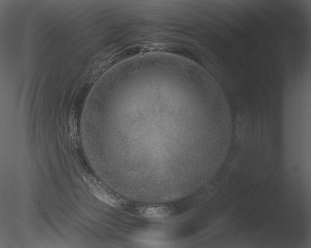 X0000085810173200703161205