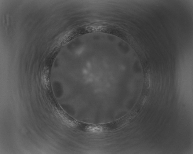 X0000085810181200703161205