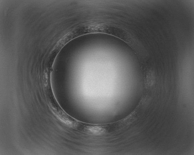 X0000085810183200703161206