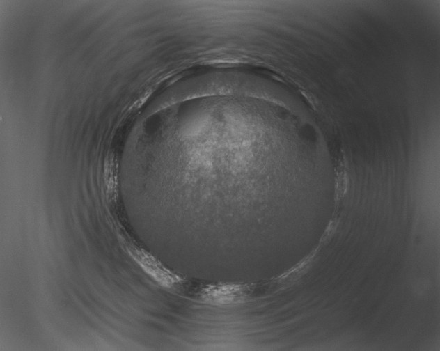 X0000085810186200703161206