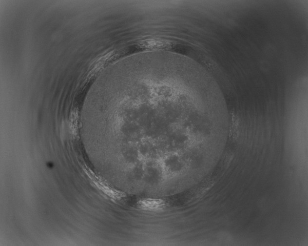 X0000085810189200703161206