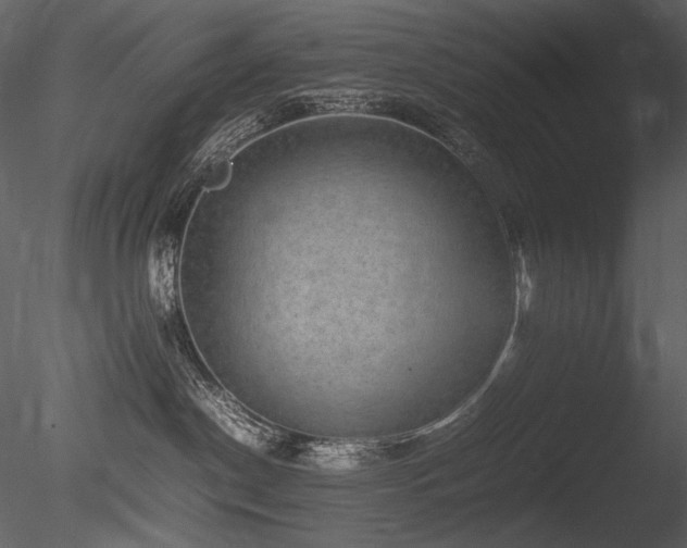 X0000085810190200703161206