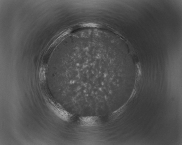 X0000085810191200703161206