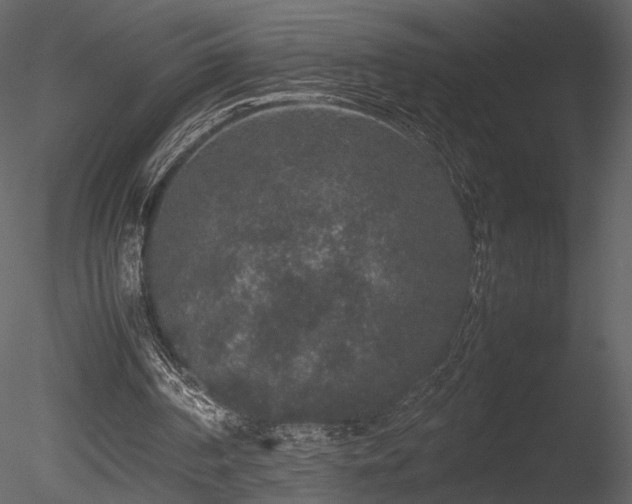 X0000085810194200703161205