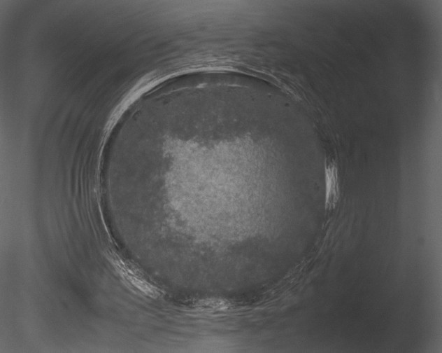 X0000085810195200703161205