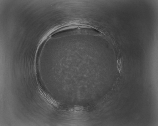 X0000085810196200703161205