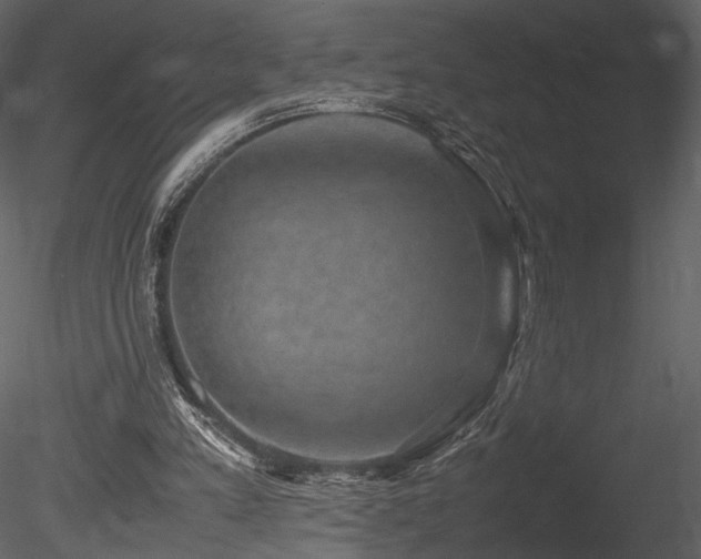 X0000085810197200703161205