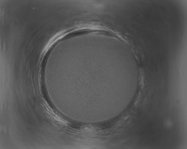 X0000085810199200703161205