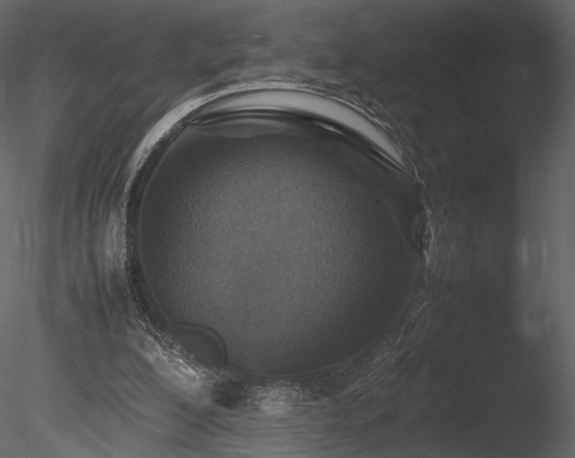 X0000085810200200703161205