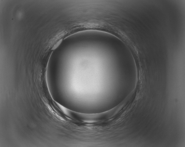 X0000085810201200703161205