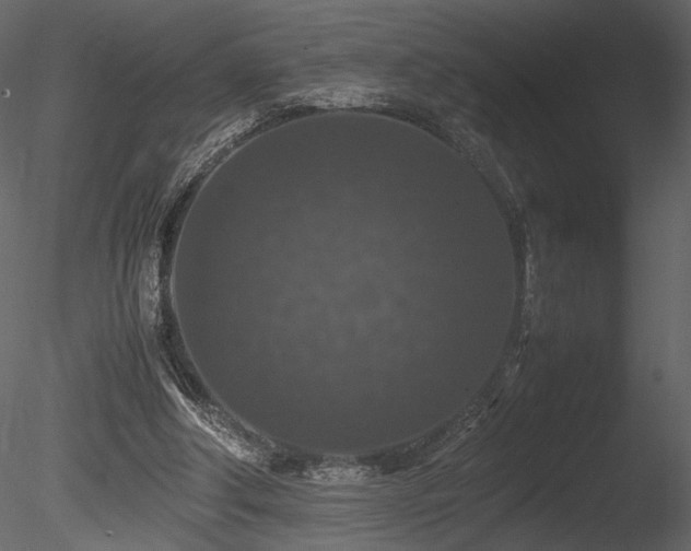 X0000085810202200703161205