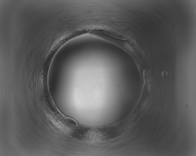 X0000085810207200703161205