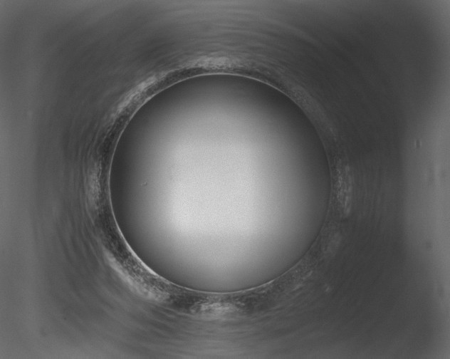 X0000085810208200703161205