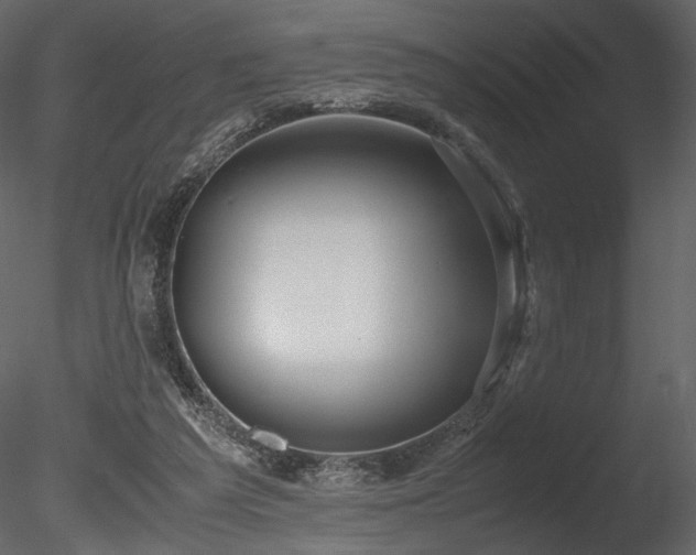 X0000085810209200703161204