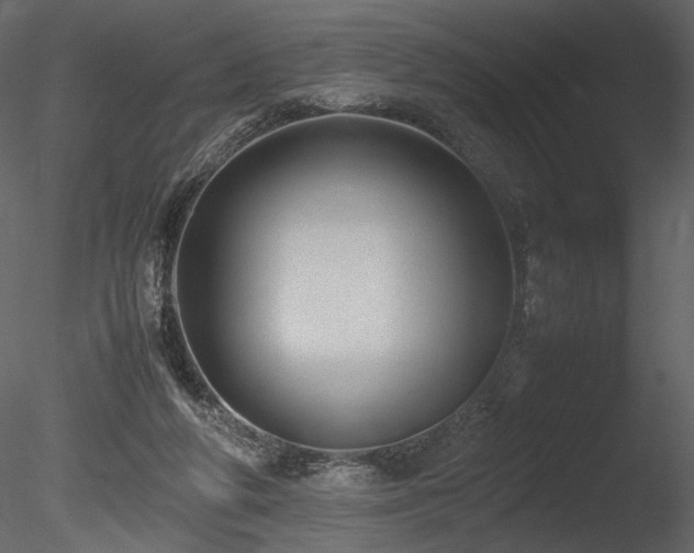 X0000085810210200703161204