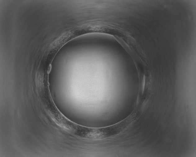 X0000085810213200703161204