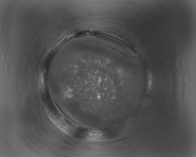 X0000085810214200703161204