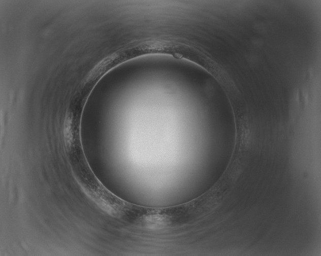 X0000085810216200703161204