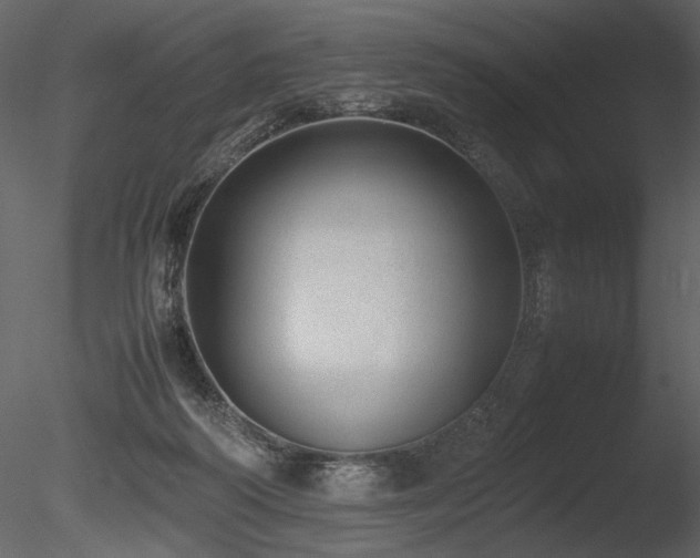 X0000085810218200703161204