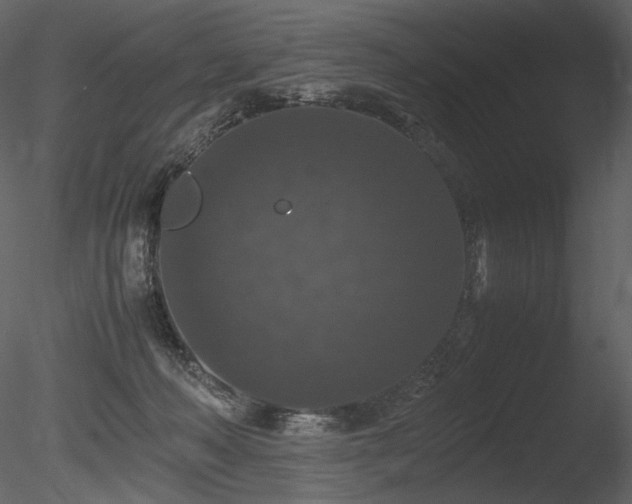 X0000085810222200703161204