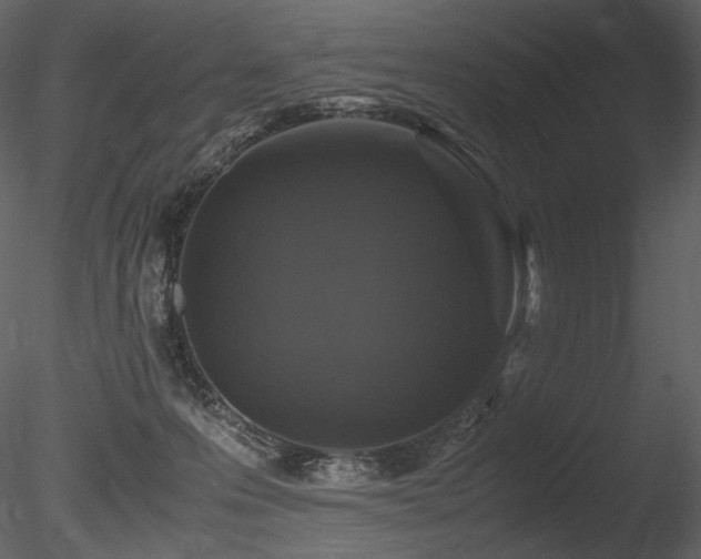 X0000085810223200703161204