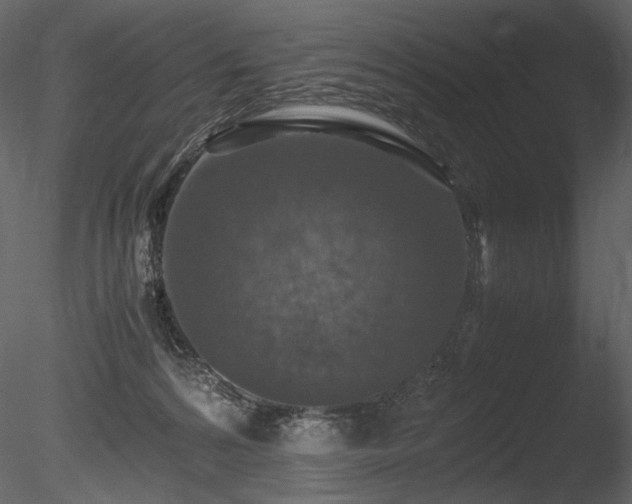 X0000085810224200703161204